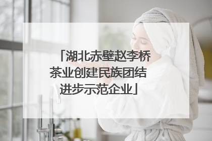 湖北赤壁赵李桥茶业创建民族团结进步示范企业