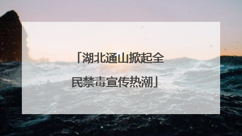湖北通山掀起全民禁毒宣传热潮