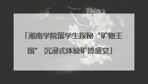 湘南学院留学生探秘“矿物王国” 沉浸式体验矿博盛宴