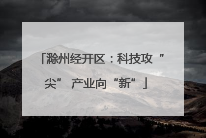 滁州经开区：科技攻“尖” 产业向“新”