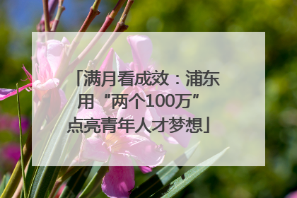 满月看成效：浦东用“两个100万”点亮青年人才梦想
