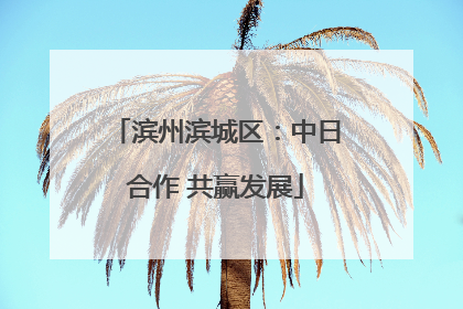 滨州滨城区：中日合作 共赢发展