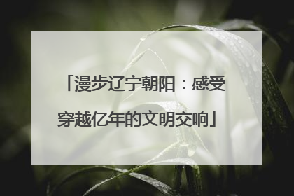 漫步辽宁朝阳：感受穿越亿年的文明交响