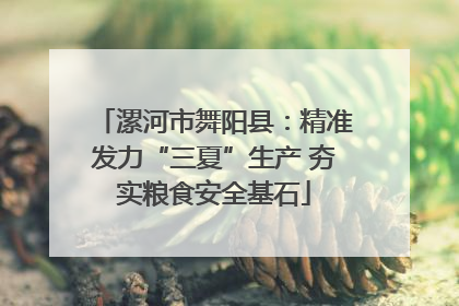 漯河市舞阳县：精准发力“三夏”生产 夯实粮食安全基石