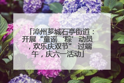 漳州芗城石亭街道：开展“童谣‘粽’动员，欢乐庆双节” 过端午，庆六一活动
