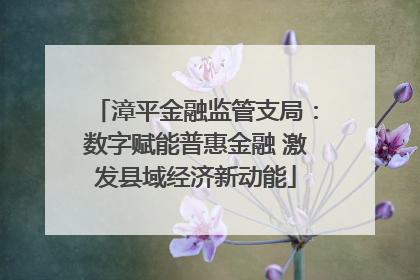 漳平金融监管支局：数字赋能普惠金融 激发县域经济新动能