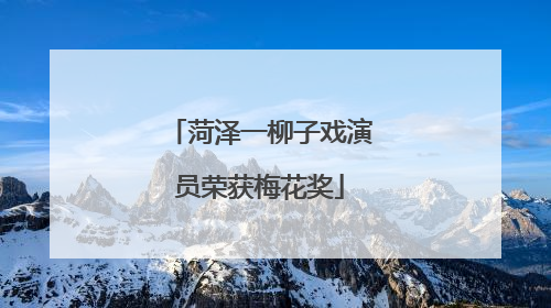 菏泽一柳子戏演员荣获梅花奖