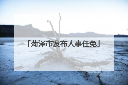 菏泽市发布人事任免