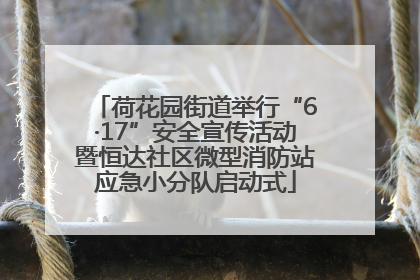 荷花园街道举行“6·17”安全宣传活动暨恒达社区微型消防站应急小分队启动式