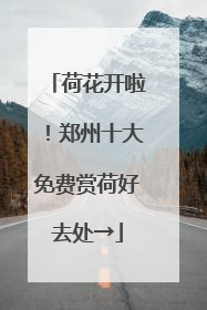 荷花开啦！郑州十大免费赏荷好去处→