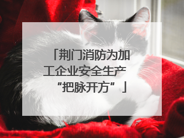 荆门消防为加工企业安全生产“把脉开方”