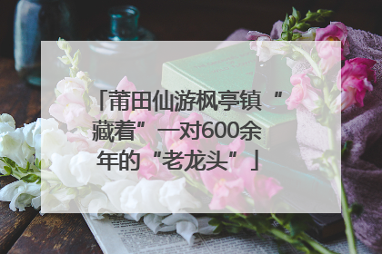莆田仙游枫亭镇“藏着”一对600余年的“老龙头”