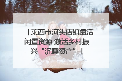莱西市河头店镇盘活闲置资源 激活乡村振兴“沉睡资产”