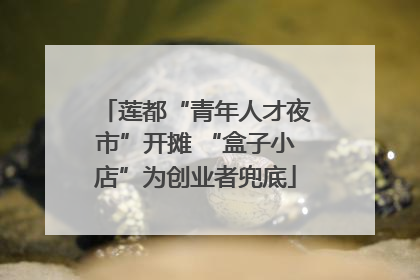 莲都“青年人才夜市”开摊 “盒子小店”为创业者兜底