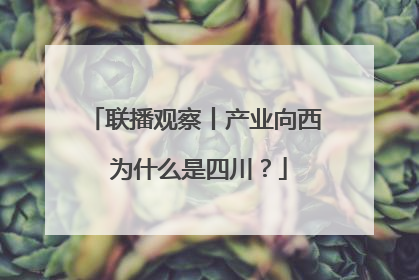 联播观察丨产业向西 为什么是四川？