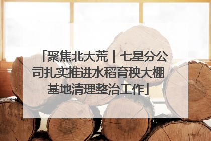 聚焦北大荒｜七星分公司扎实推进水稻育秧大棚基地清理整治工作