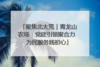 聚焦北大荒｜青龙山农场：党建引领聚合力 为民服务践初心