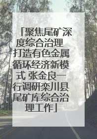 聚焦尾矿深度综合治理 打造有色金属循环经济新模式 张金良一行调研栾川县尾矿库综合治理工作