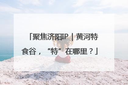 聚焦济阳IP｜黄河特食谷，“特”在哪里？