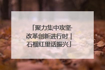 聚力集中攻坚·改革创新进行时｜石榴红里话振兴