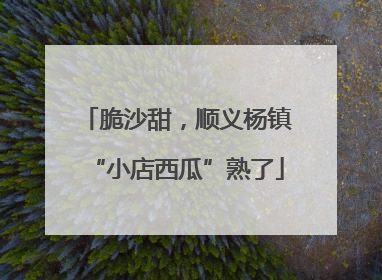 脆沙甜，顺义杨镇“小店西瓜”熟了