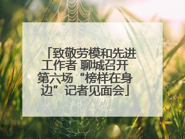 致敬劳模和先进工作者 聊城召开第六场“榜样在身边”记者见面会