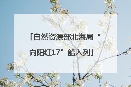 自然资源部北海局“向阳红17”船入列
