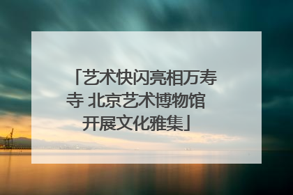 艺术快闪亮相万寿寺 北京艺术博物馆开展文化雅集