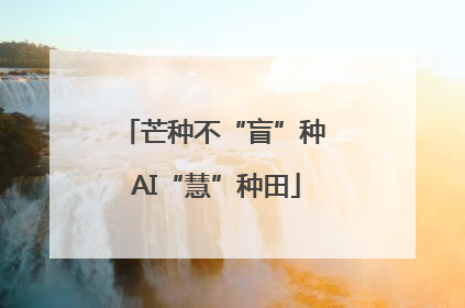 芒种不“盲”种 AI“慧”种田