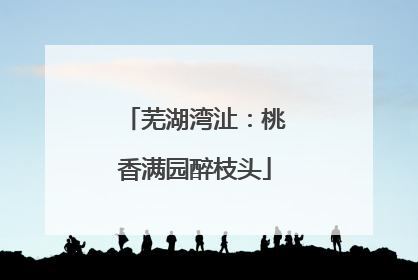 芜湖湾沚：桃香满园醉枝头