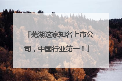 芜湖这家知名上市公司，中国行业第一！