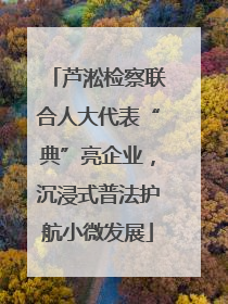 芦淞检察联合人大代表“典”亮企业，沉浸式普法护航小微发展