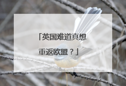 英国难道真想重返欧盟？