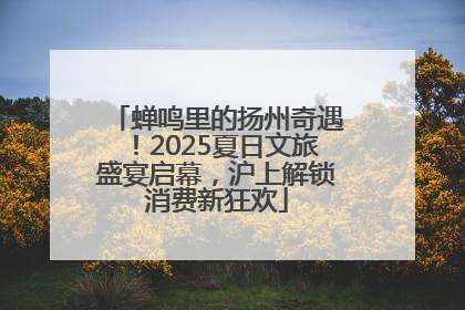 蝉鸣里的扬州奇遇！2025夏日文旅盛宴启幕，沪上解锁消费新狂欢