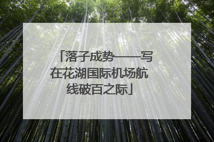 落子成势——写在花湖国际机场航线破百之际