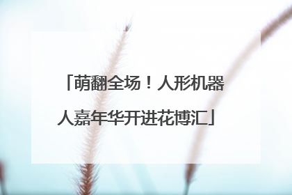 萌翻全场！人形机器人嘉年华开进花博汇