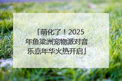 萌化了！2025年鱼梁洲宠物派对音乐嘉年华火热开启