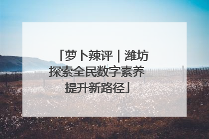 萝卜辣评｜潍坊探索全民数字素养提升新路径