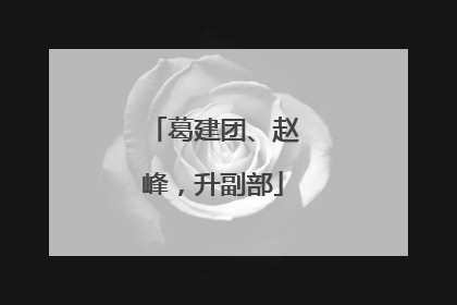 葛建团、赵峰，升副部