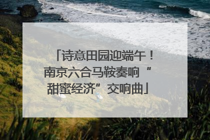 诗意田园迎端午！南京六合马鞍奏响“甜蜜经济”交响曲