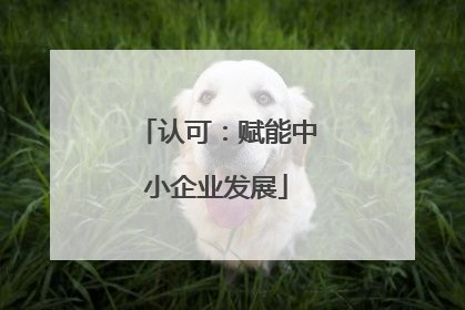 认可：赋能中小企业发展