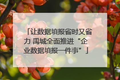 让数据填报省时又省力 禹城全面推进“企业数据填报一件事”