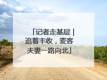 记者走基层｜追着丰收，麦客夫妻一路向北