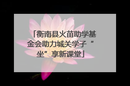 衡南县火苗助学基金会助力城关学子“坐”享新课堂