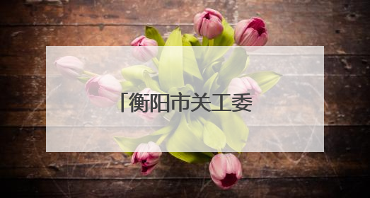 衡阳市关工委爱心助学活动在石鼓区举行