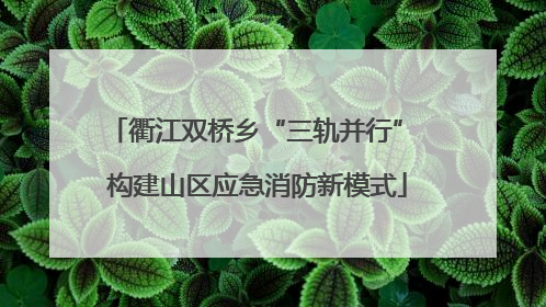 衢江双桥乡“三轨并行” 构建山区应急消防新模式