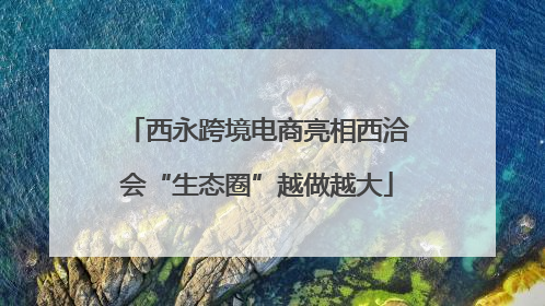 西永跨境电商亮相西洽会“生态圈”越做越大