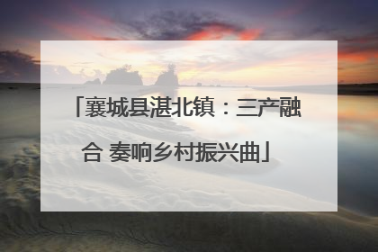 襄城县湛北镇：三产融合 奏响乡村振兴曲