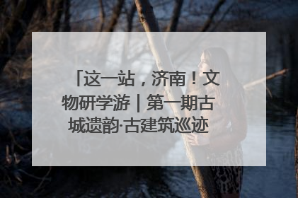 这一站，济南！文物研学游｜第一期古城遗韵·古建筑巡迹之旅圆满结束