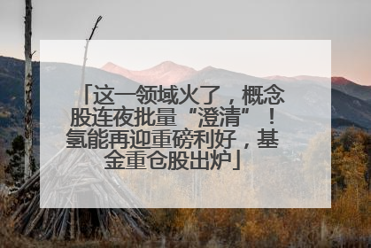 这一领域火了，概念股连夜批量“澄清”！氢能再迎重磅利好，基金重仓股出炉